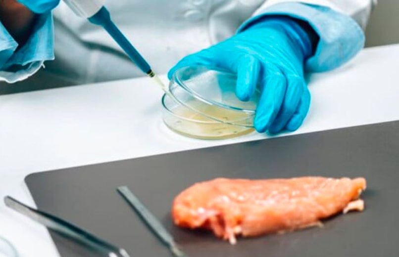 Peito de Frango Cultivado em Laboratório Avança para Produção Comercial em Fase Piloto