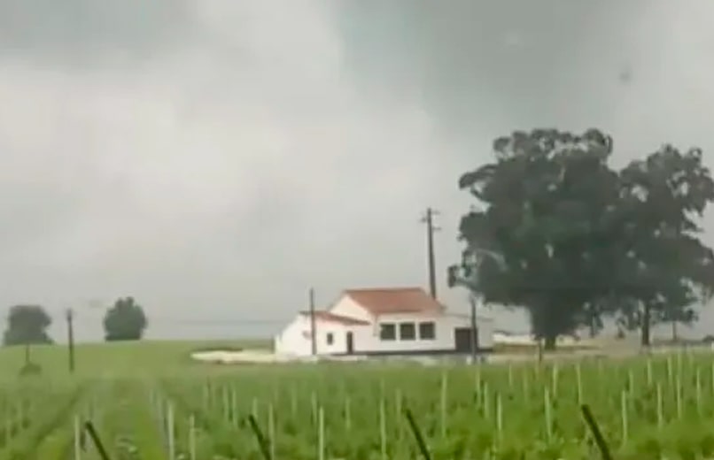Tornado em Beja deixa rasto de destruição com telhados arrancados, árvores caídas e população em choque