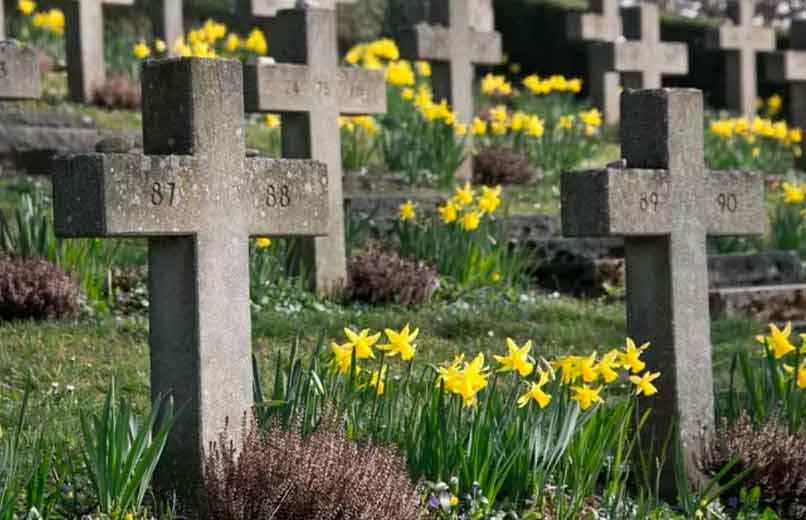 O Último Adeus a Preço de Saldo? Funerárias Low-Cost Crescem e Levantam Questões Séria sobre Regulação e Dignidade