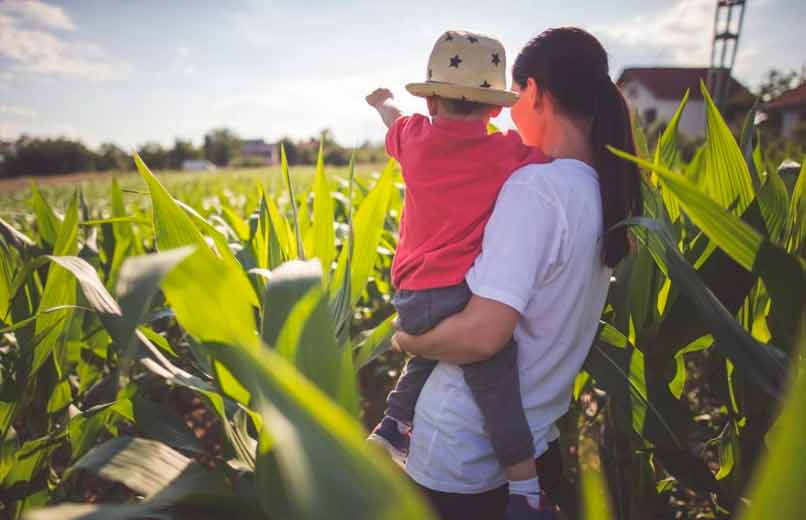 Mulheres de Ferro: As Mães-Solo que Sustentam a Agricultura Portuguesa em Silêncio